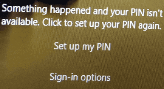 Algo aconteceu e seu PIN não está disponível no Windows 11
